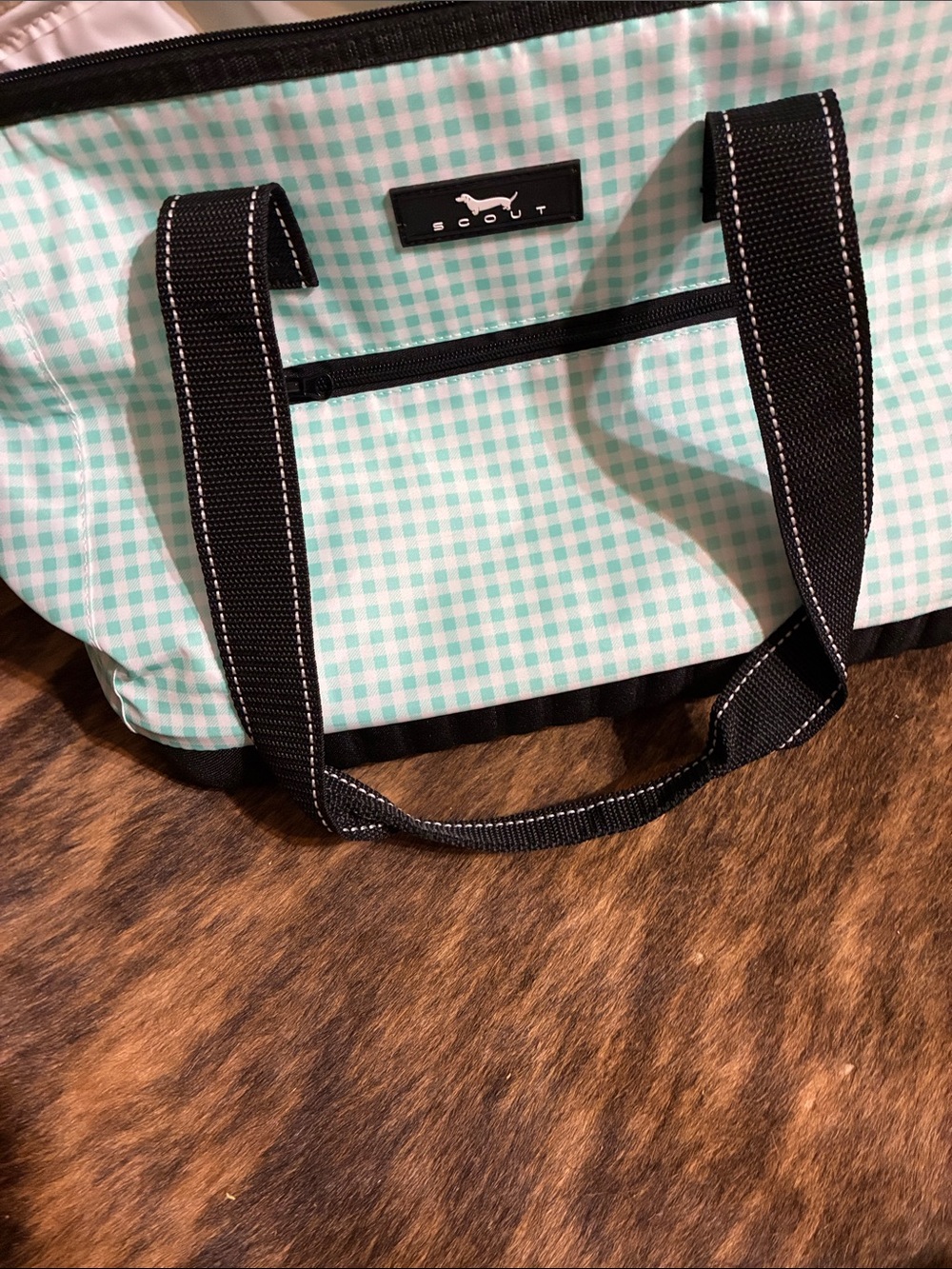 Scout insulated cooler bag